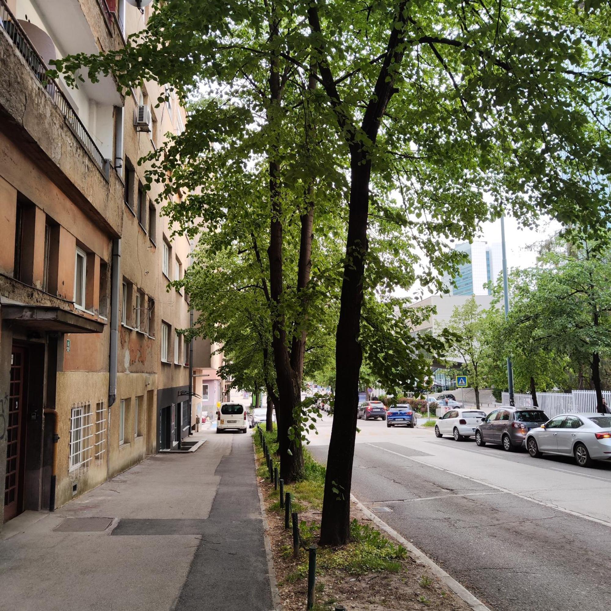 Apartment Marijin Dvor Deluxe Saraybosna Dış mekan fotoğraf